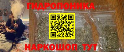 гашик Кулебаки