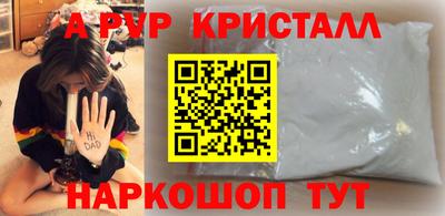СК Кудрово